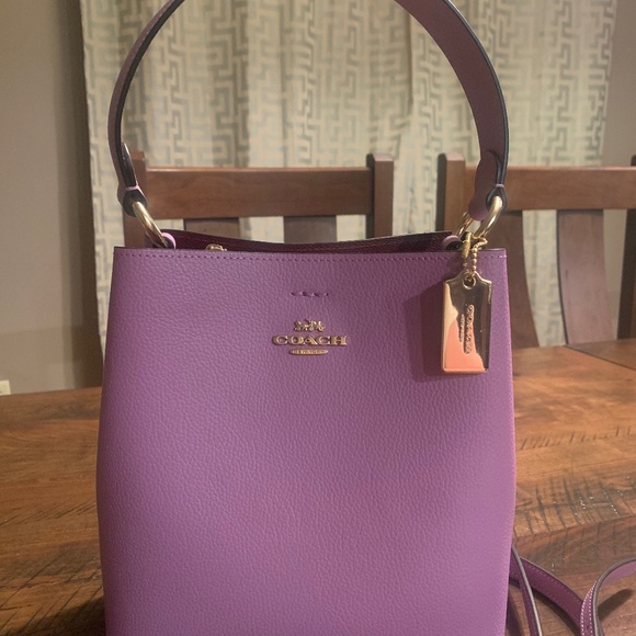Coach Handbags - Coach small town bucket bag